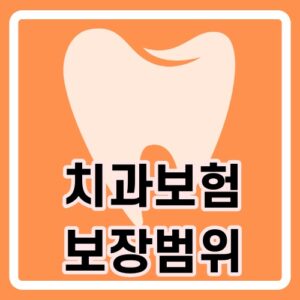 치과보험 보장범위