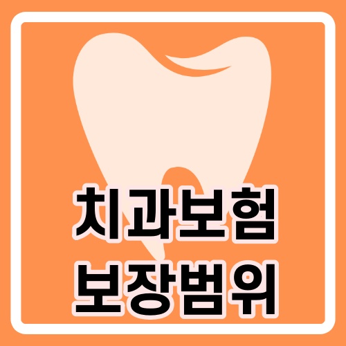 치아보험 보장범위과 보장금액-특약 4가지포함